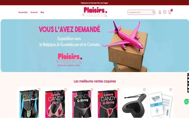 Page d'accueil de Plaisirs Vibrants
